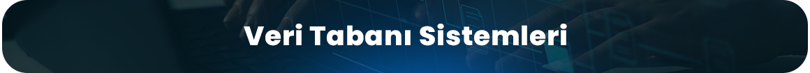vari-tabani-sistemleri