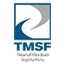 TMSF