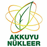 Akkuyu Nükleer
